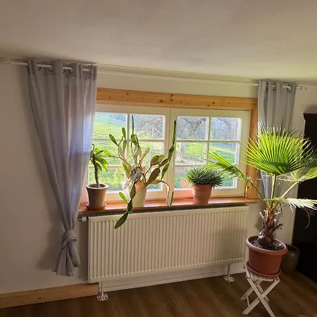 Lauenhainer Alm Apartment Mittweida