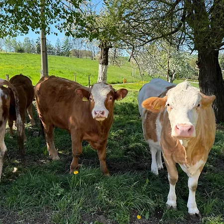 Διαμέρισμα Lauenhainer Alm *