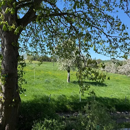 Lauenhainer Alm Mittweida