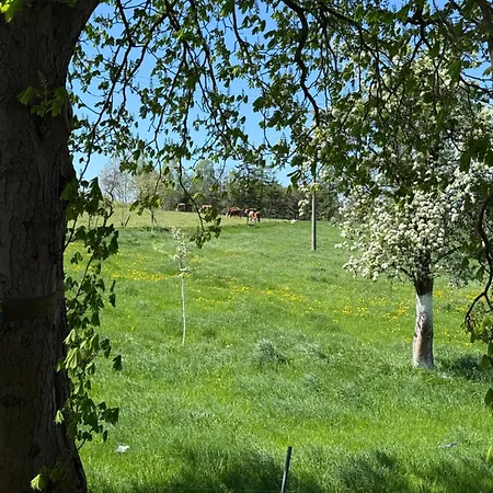 Lauenhainer Alm Апартаменты *