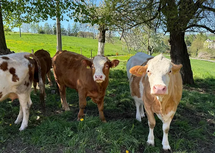 Апартаменты Lauenhainer Alm *