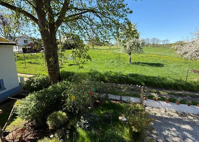 Lauenhainer Alm Апартаменты Митвайда