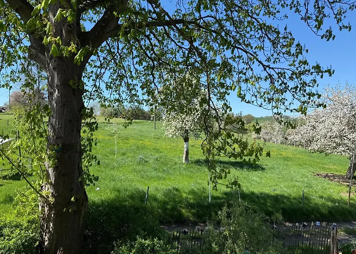 Lauenhainer Alm Митвайда