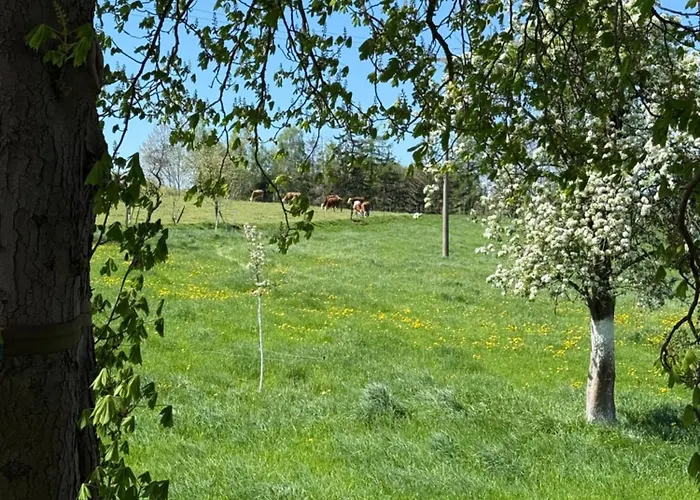 Lauenhainer Alm Апартаменты *